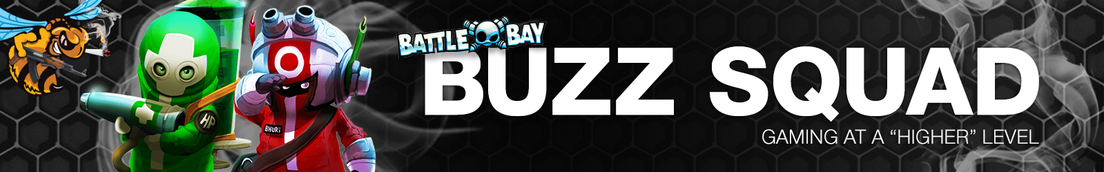 BUZZ Squad Battle Bay Banner.jpg