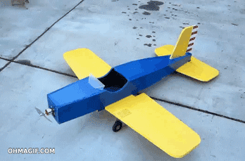 funny-squirrel-stealing-an-airplane.gif
