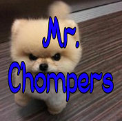 mr chompers pro pic.png