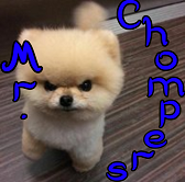 mr chompers pro pic side.png