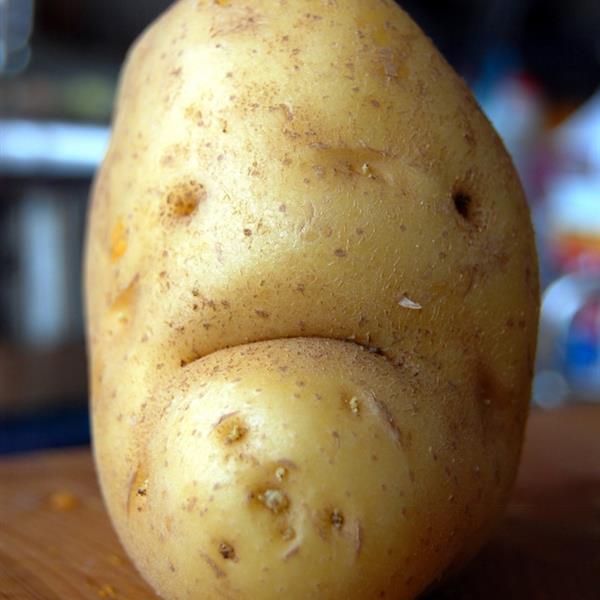 potato-sad-face.jpg