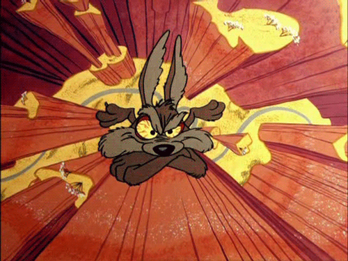 Wile.E-Coyote-Falling-Down-Animated-Picture.gif