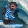 WaveMonkey